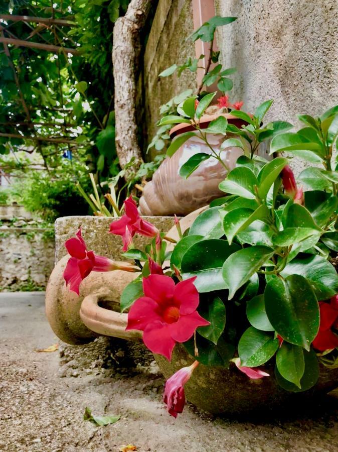 Casa Gentile Bed & Breakfast Agerola Ngoại thất bức ảnh