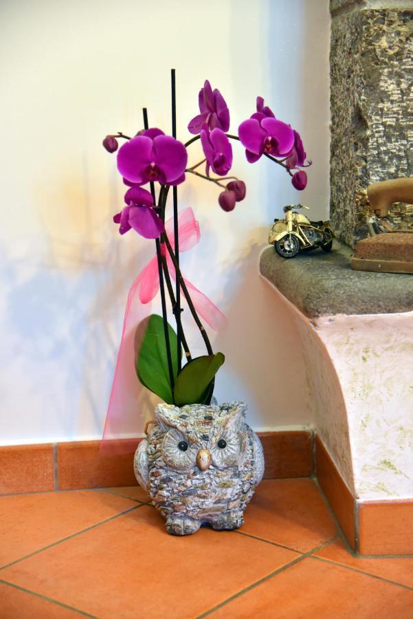 Casa Gentile Bed & Breakfast Agerola Ngoại thất bức ảnh